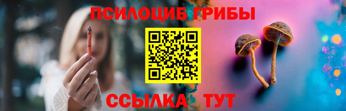 хочу наркоту  Вход с VPN  Псилоцибиновые грибы Psilocybine cubensis  Верхний Уфалей  Галлюциногенные грибы MAGIC MUSHROOMS 