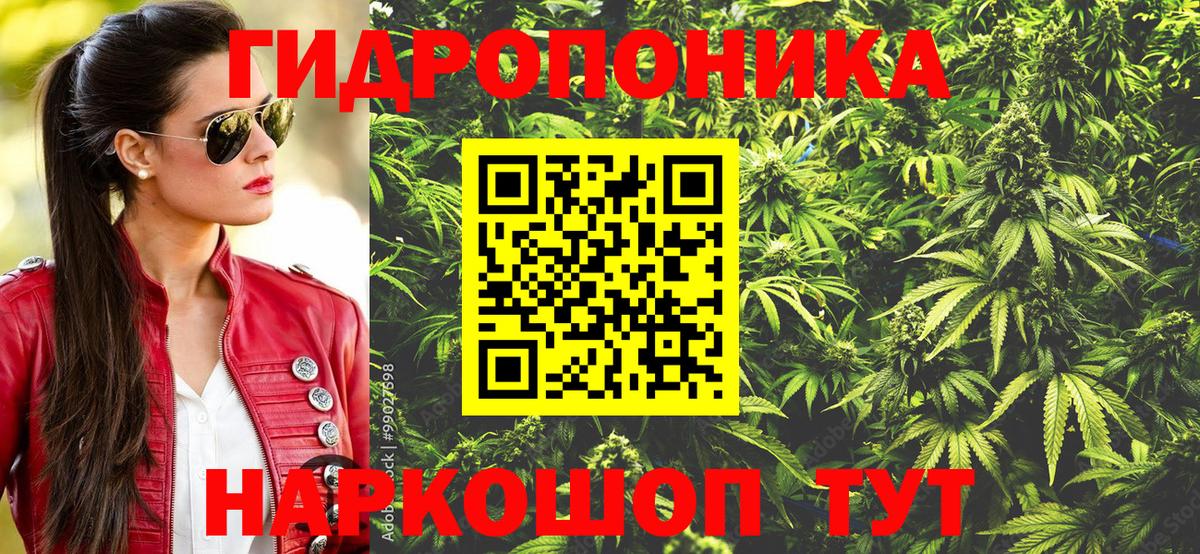 Конопля OG Kush Верхний Уфалей